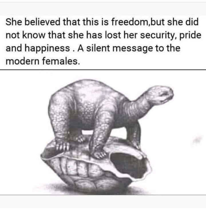 Message to the female