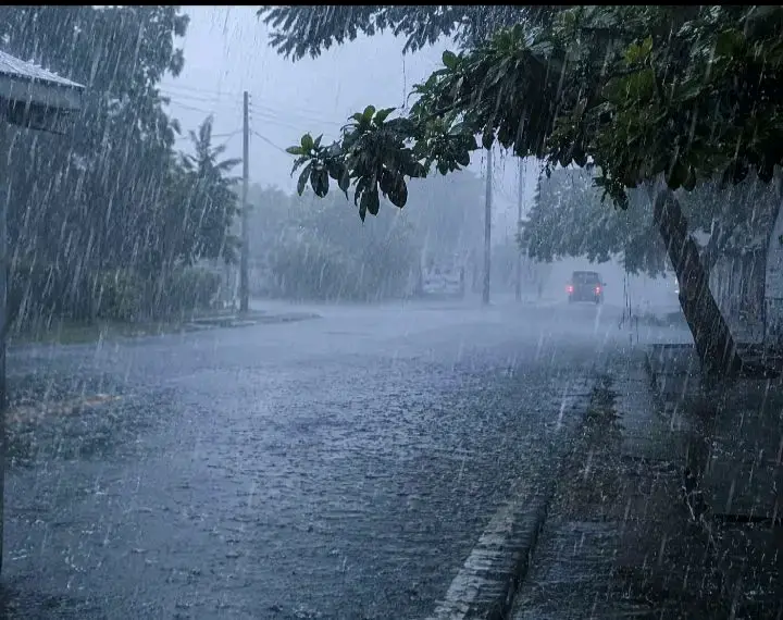 Good morning beautiful family of lekeelekee.
How is the weather in your location?
Mine: raining and...