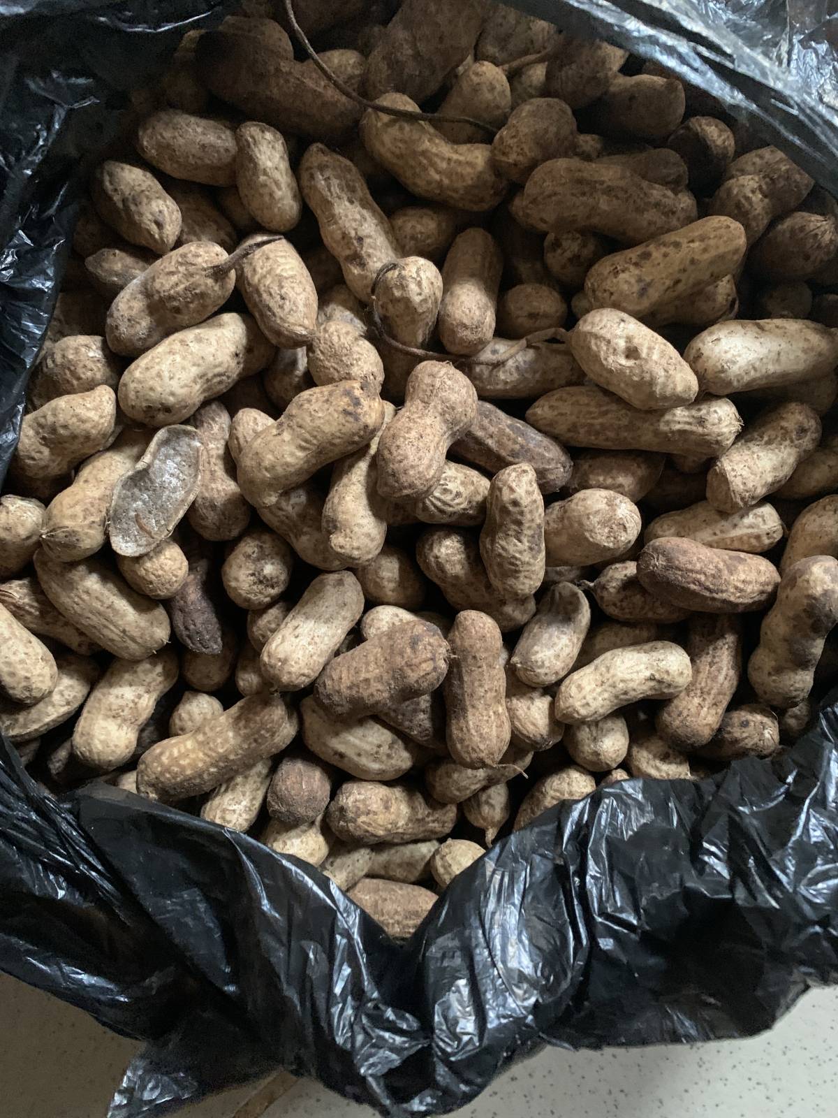 Is a season of fresh fresh things oo
A paint of fresh groundnut is how much in your area.
I got thi...