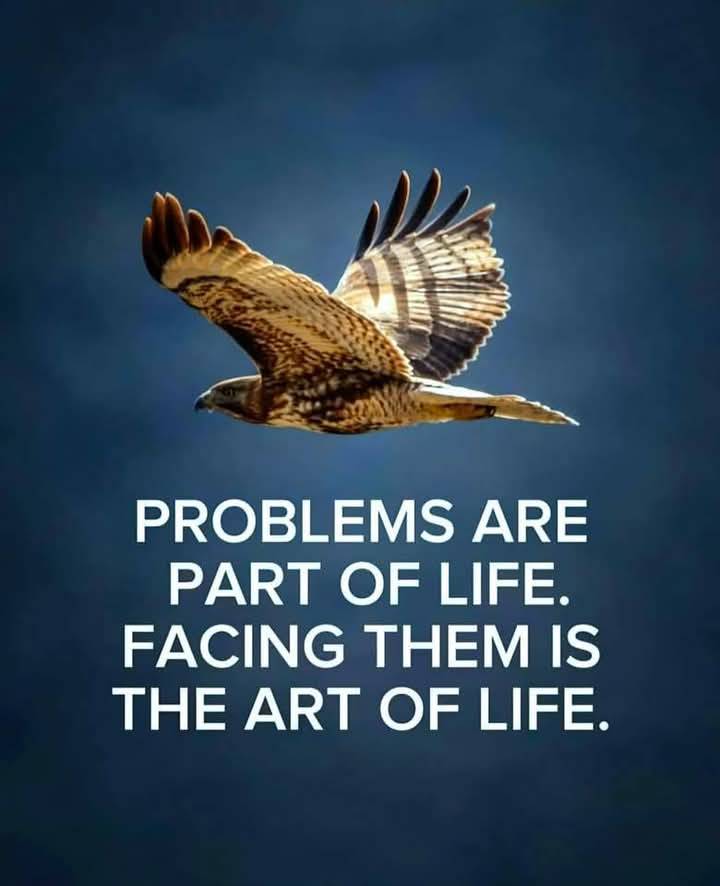 "Problems are part of life. Facing them is the art of life."
#Humanlife