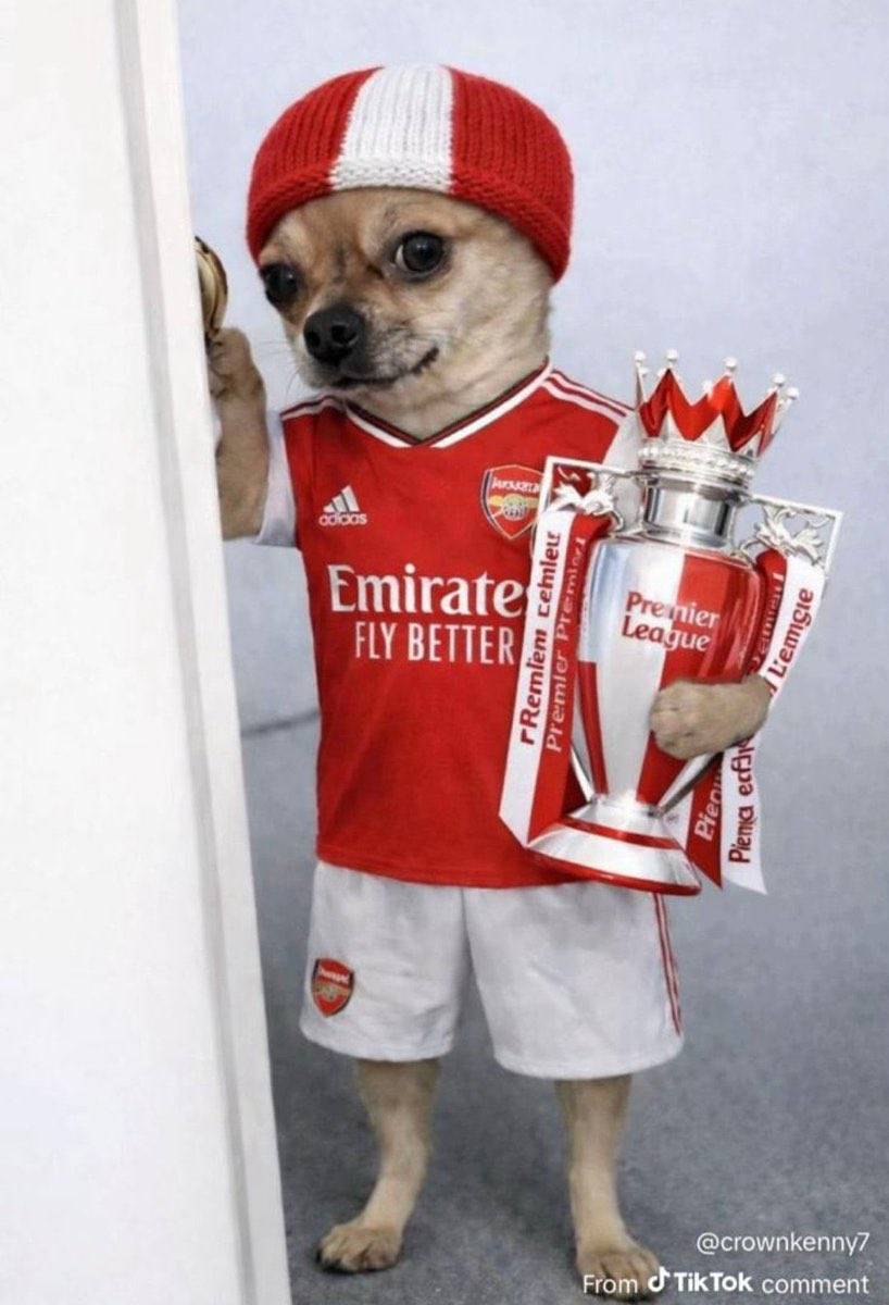 Arsenal haters feeling so bad right now