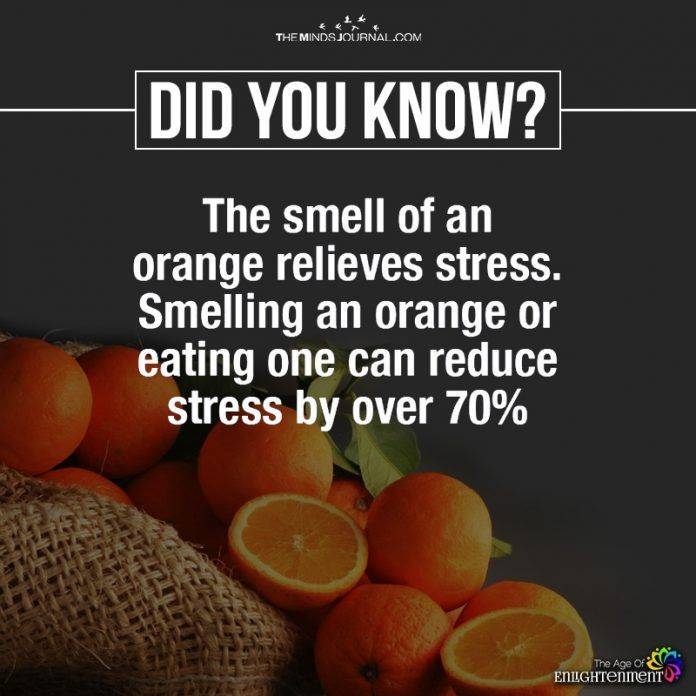 Have you tried it? 😲
