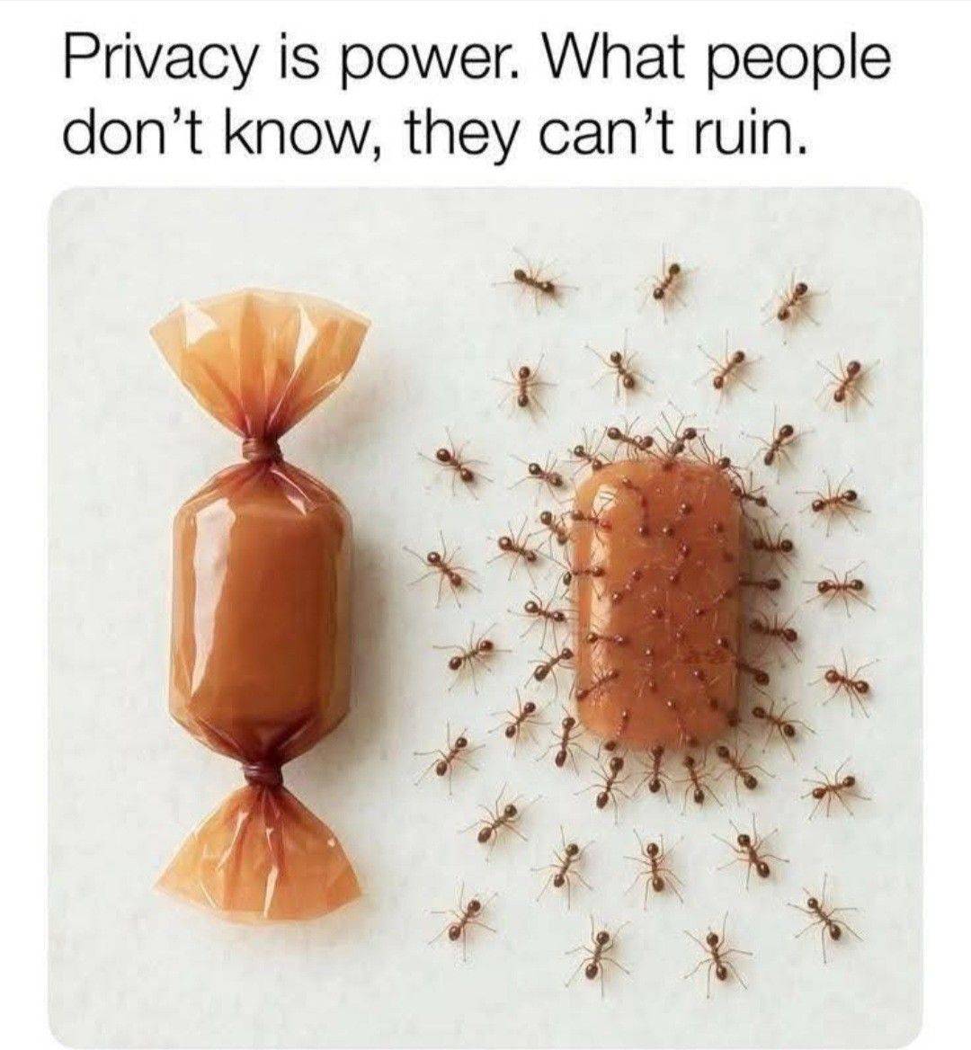 💯