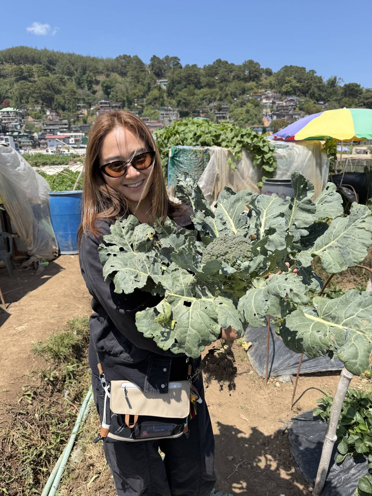 Tried harvesting broccoli and had so much fun for this experience. ๐