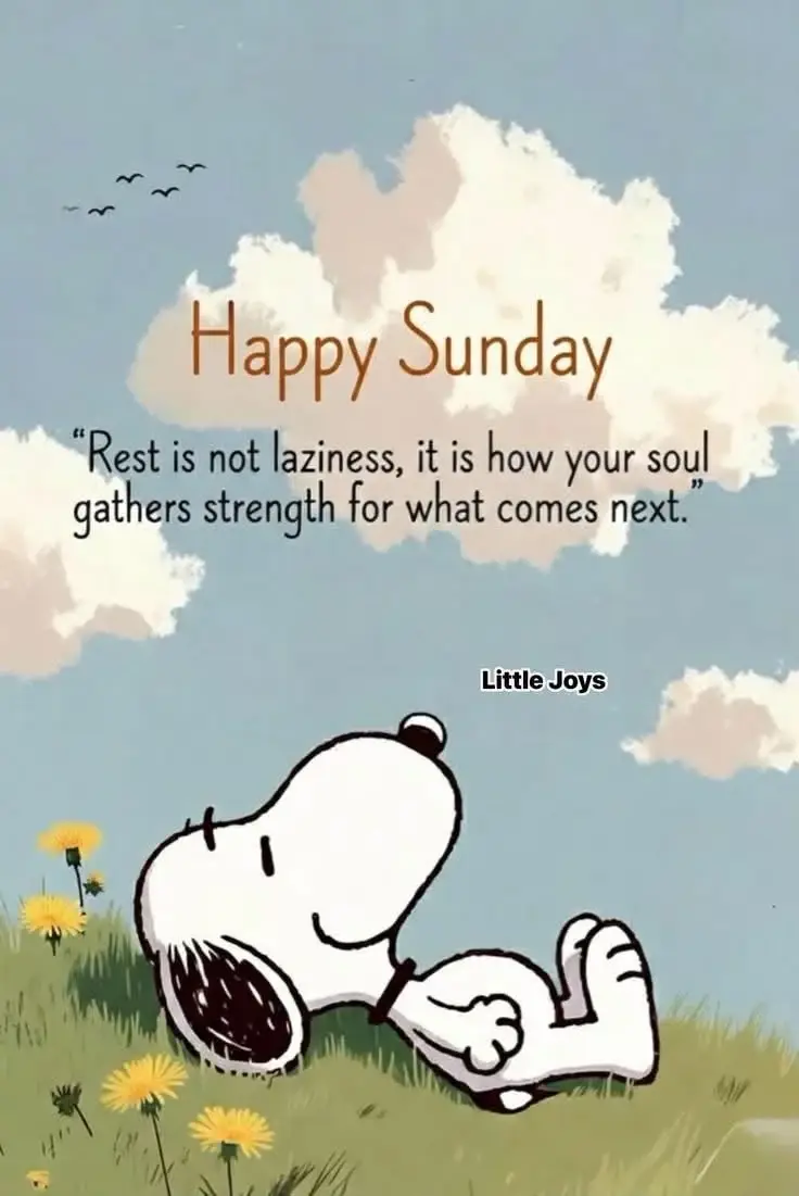 Happy Sunday Fam! ๐