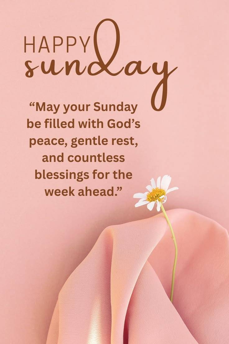 Happy Sunday Awesome Family 🙏💕