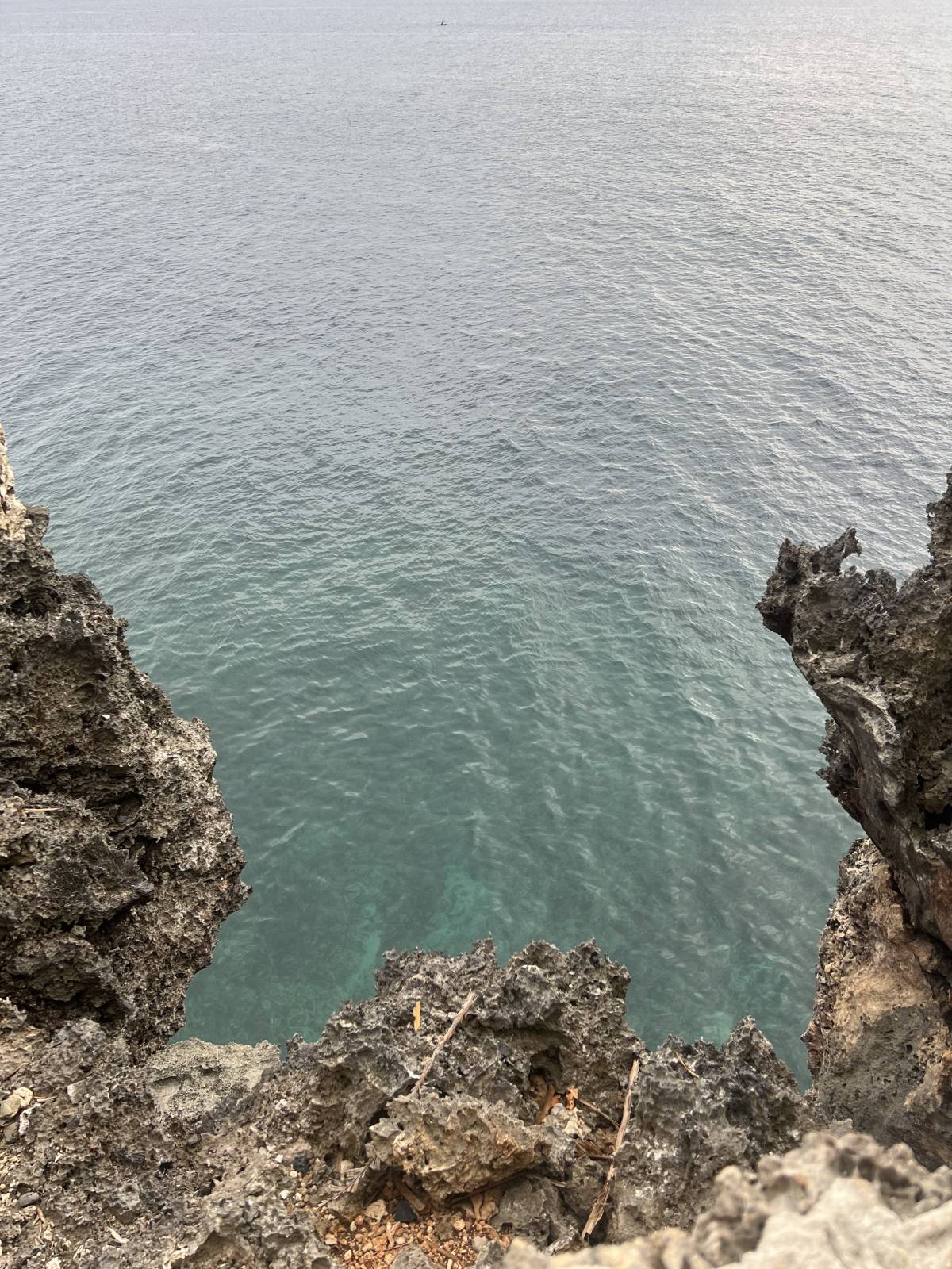 Would you dare do a cliff dive here? 

📍Siquijor, Philippines