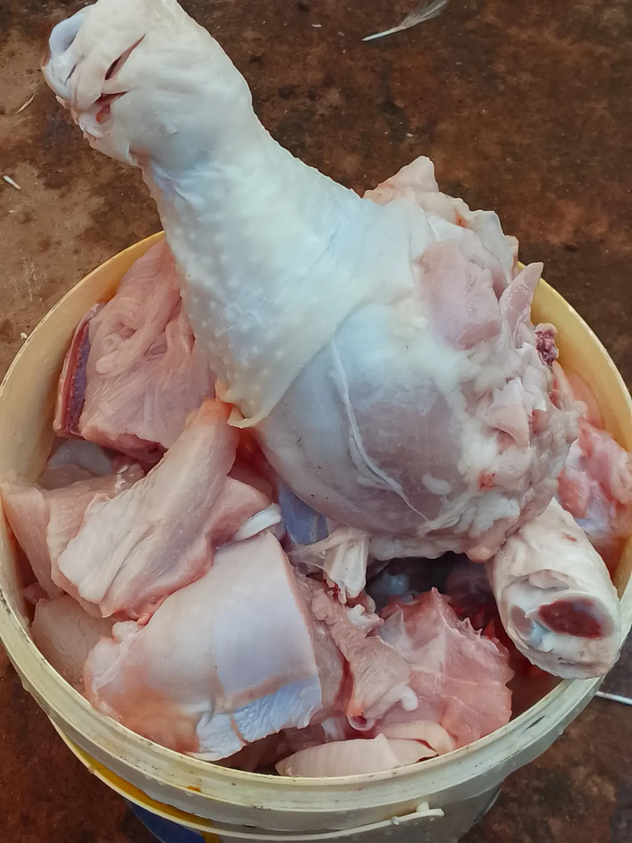 Tomorrow is Sunday
Come and buy your Sunday chicken very affordable ๐ฏ location Enugu state
#Lekee...