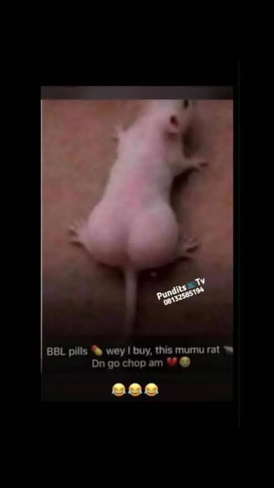 Watin I go do this rat now ๐ค