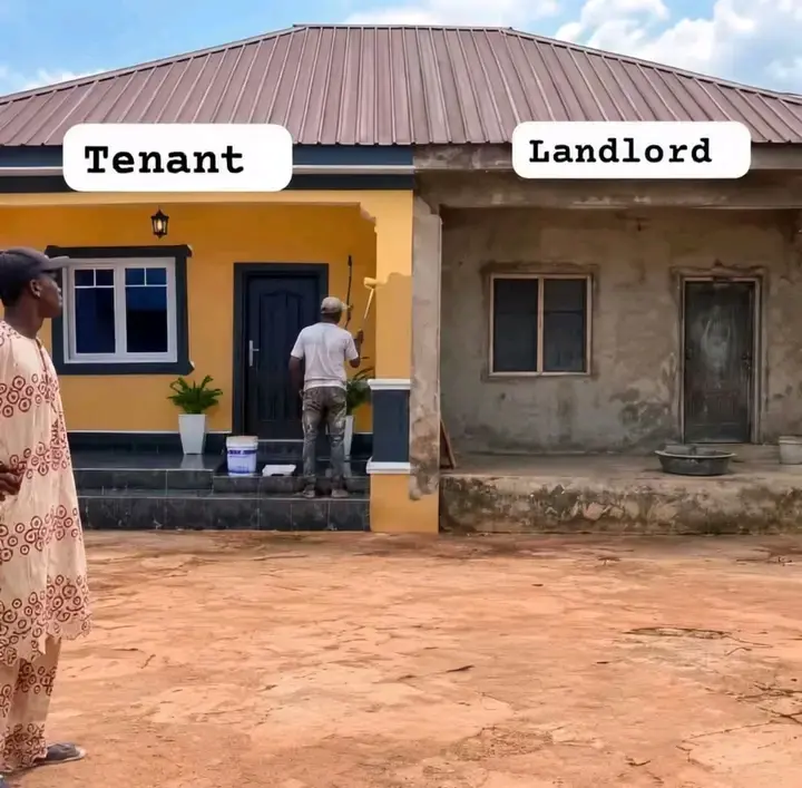 As a landlord seeing your tenant renovating your house how will you feel and what will you do, abi y...