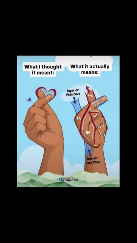 Medical students will understand 😂