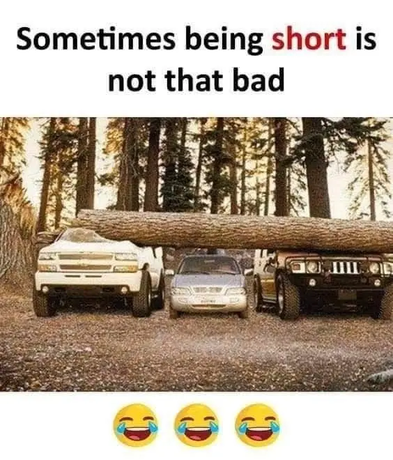 You see😹
