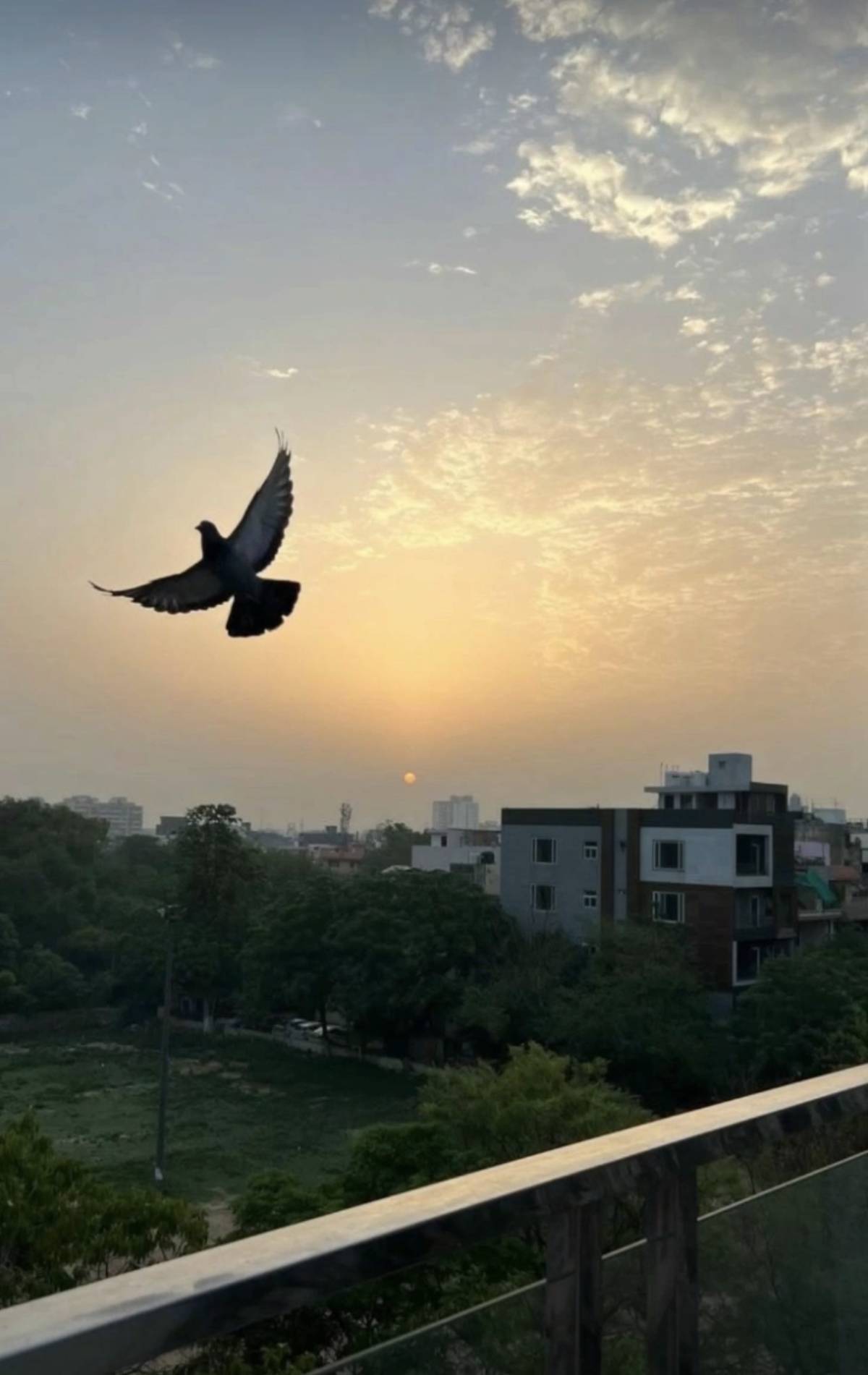 Freedom