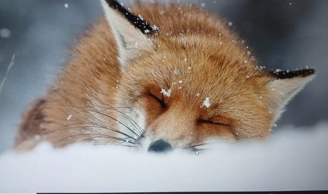 Hi buddies,  have a good night rest.

#LekeeLekee  #Viral
