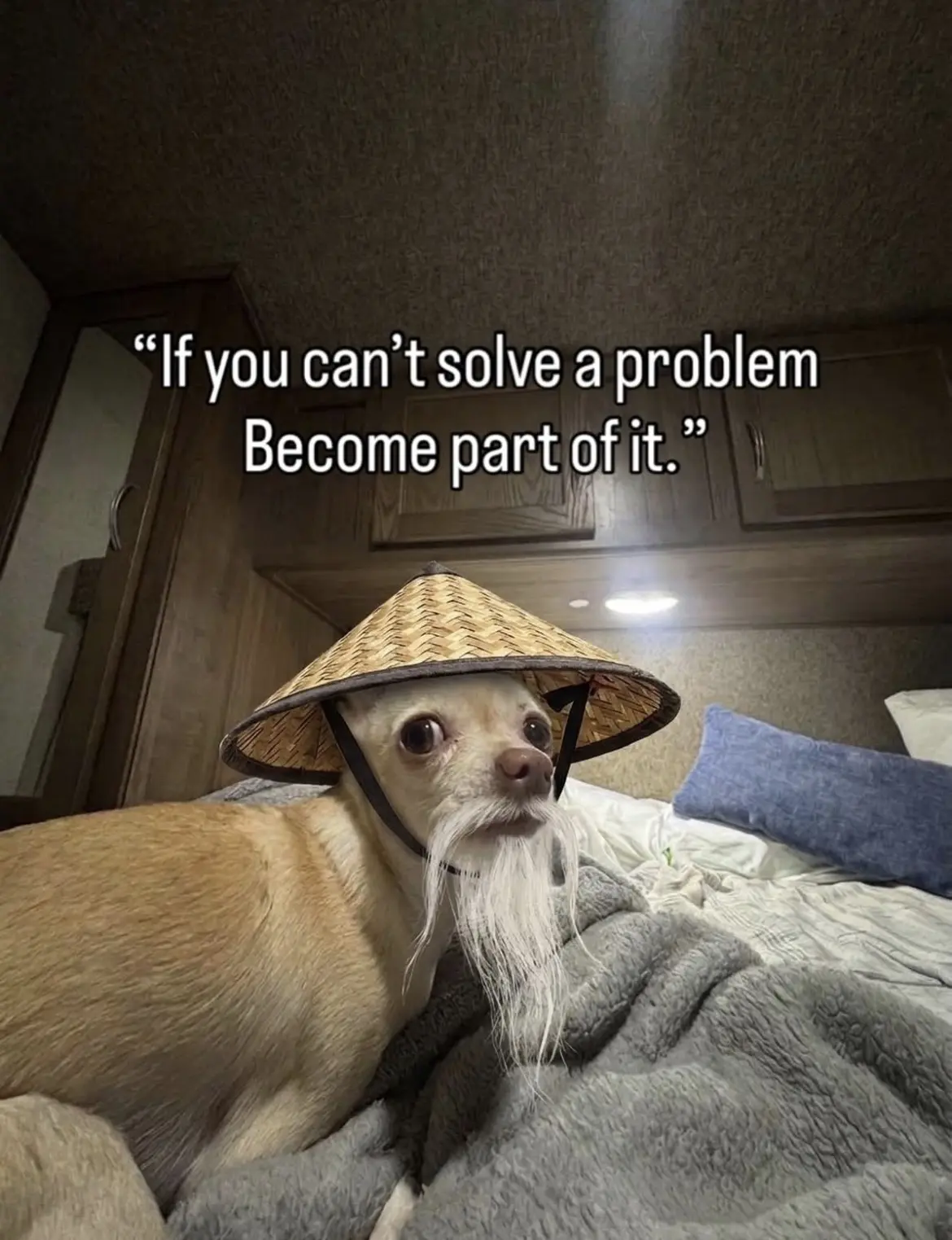 Be the problem