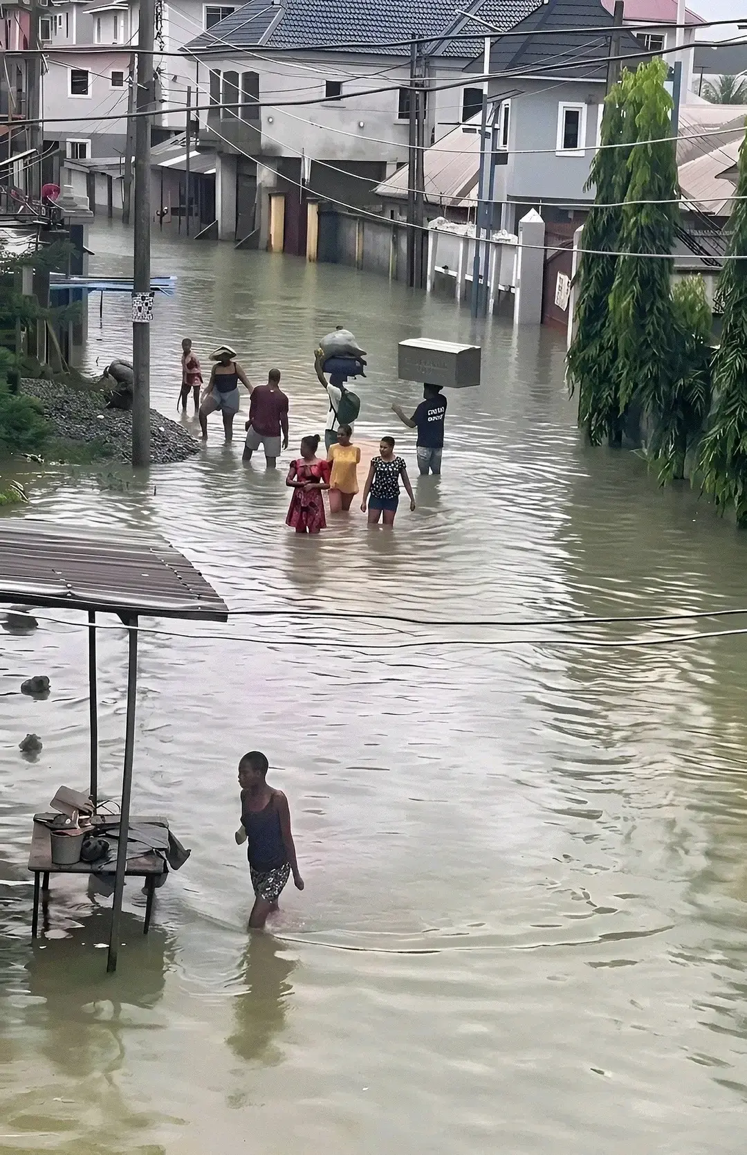 Situation Report in River Street
Join zulti and earn in dollar
https://zulti.com/?r=CVTGM99AWA
#C...