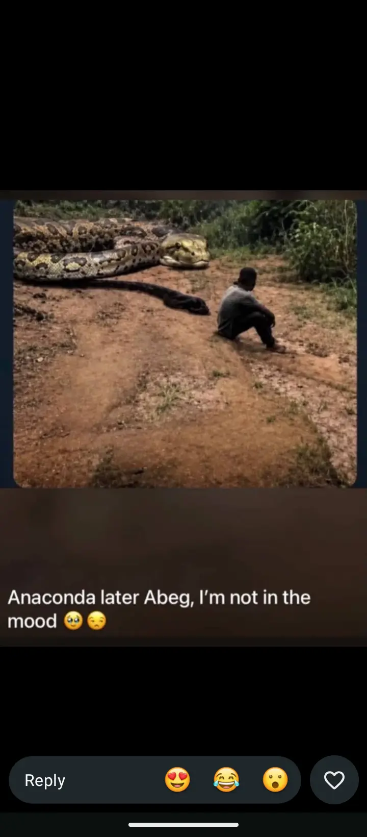 Abeg my people make una help me tell dis guy here say i no get joy ๐๐๐
#LekeeLekee
#Trending...