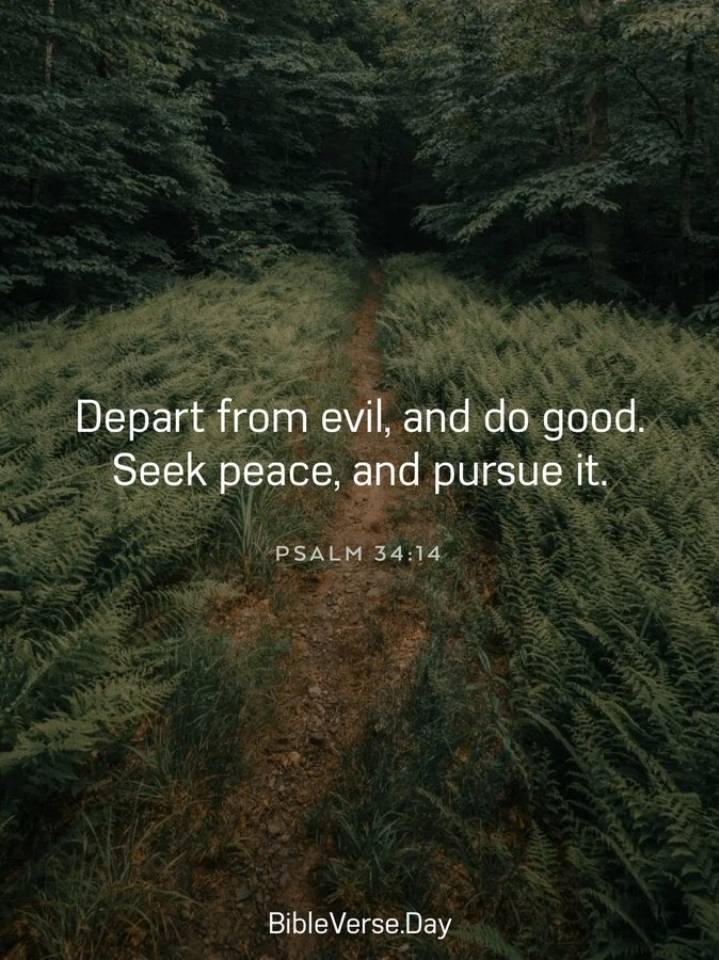 All I can say is I pray for a better Nigeria