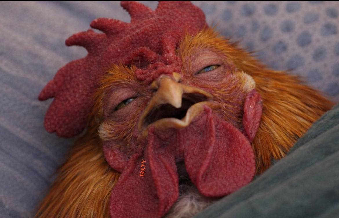 I will call you when I am back from work..
Me after work ๐๐๐๐