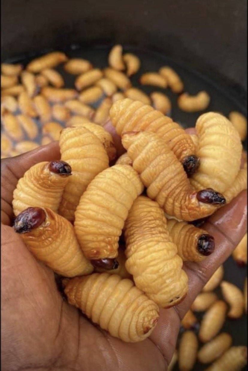 What do you call this in English and you dialect?
