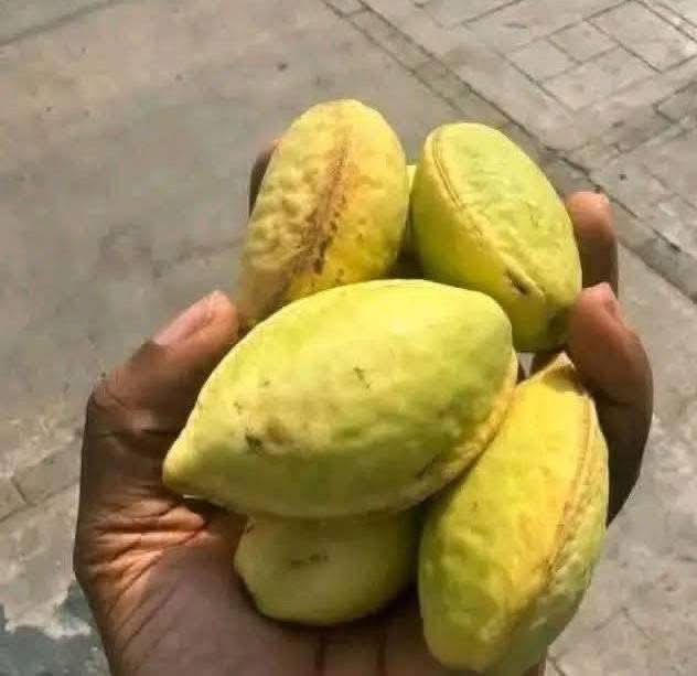 What is the name of this fruit?