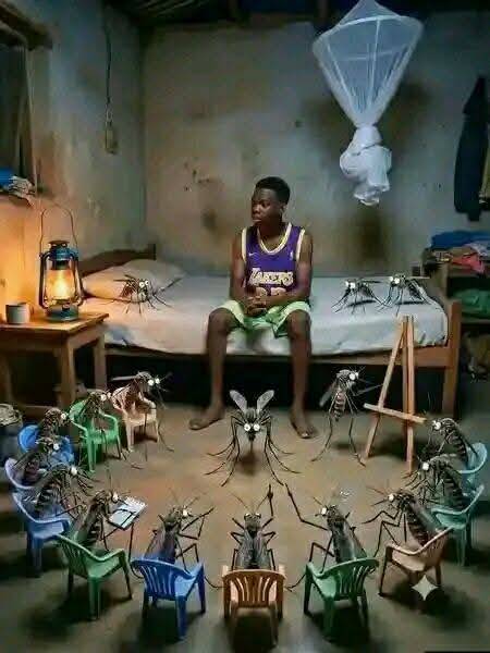 I called a peace meeting with the mosquitoes... after hours of negotiations, we finally reached an a...