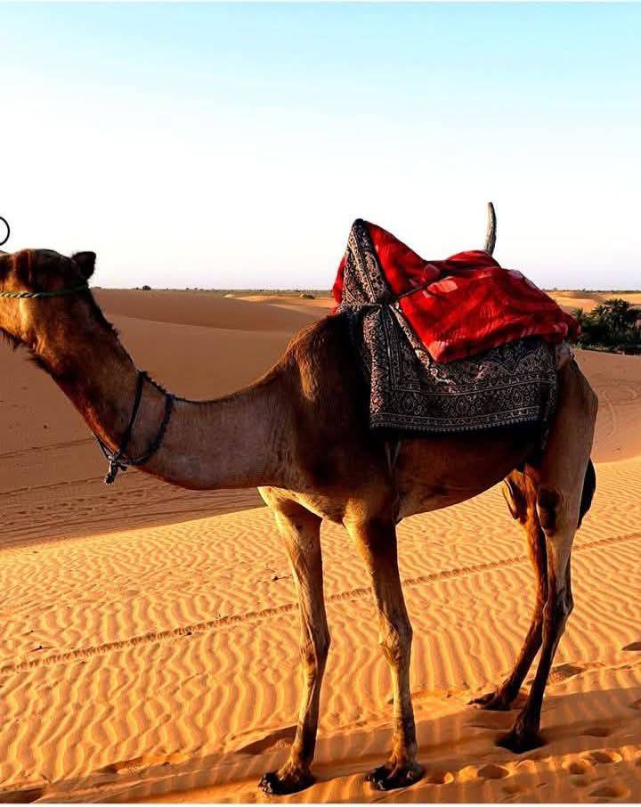 Where do you think this amazing place is? This breathtaking desert view looks straight out of a movi...
