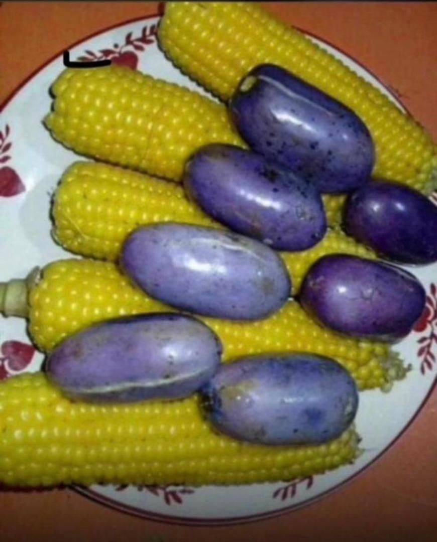 Nice combo