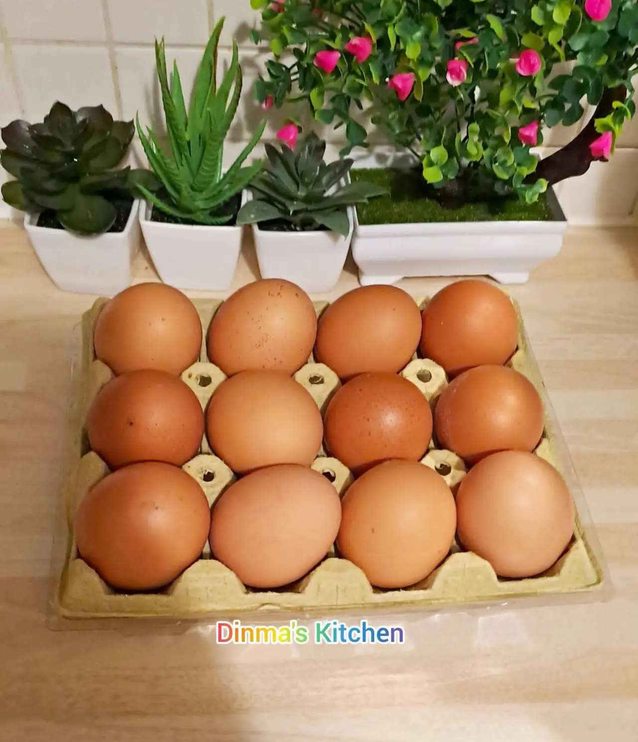 Do you know there are Different Types Of Eggs, This Is It π
ππ½ Free-range: Hens have access to t...