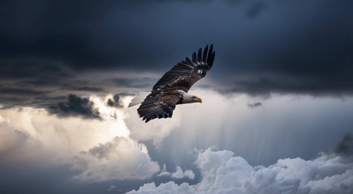 The storm is not your enemy.
Sometimes…
It’s your introduction.
Storms reveal what comfort can ne...