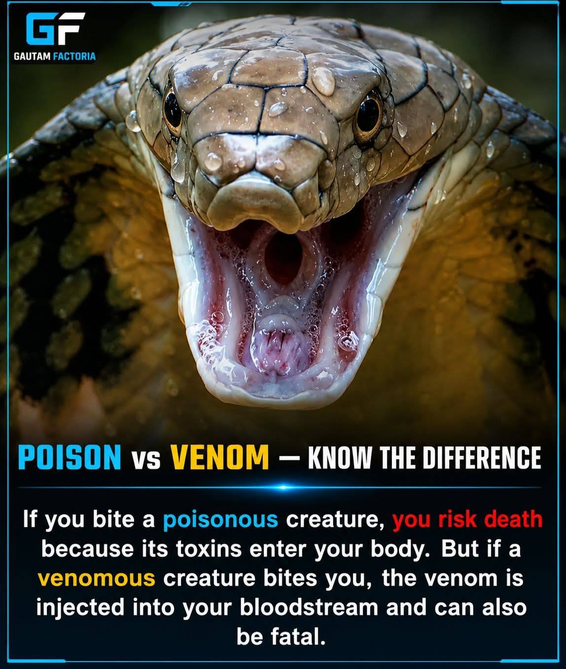 Many people use the words "poisonous" and "venomous" interchangeably, but in science they mean very...
