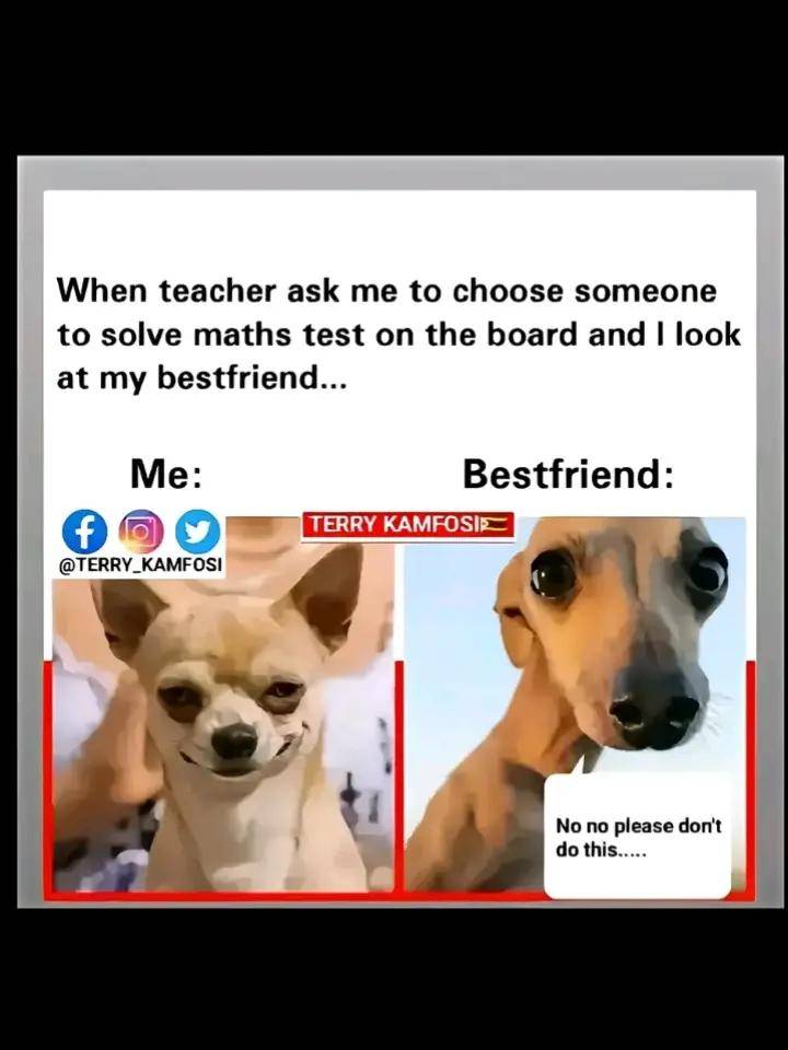 Why is my bestie always disgracing me like this ππ
#LekeeLekee #relatable #foryou