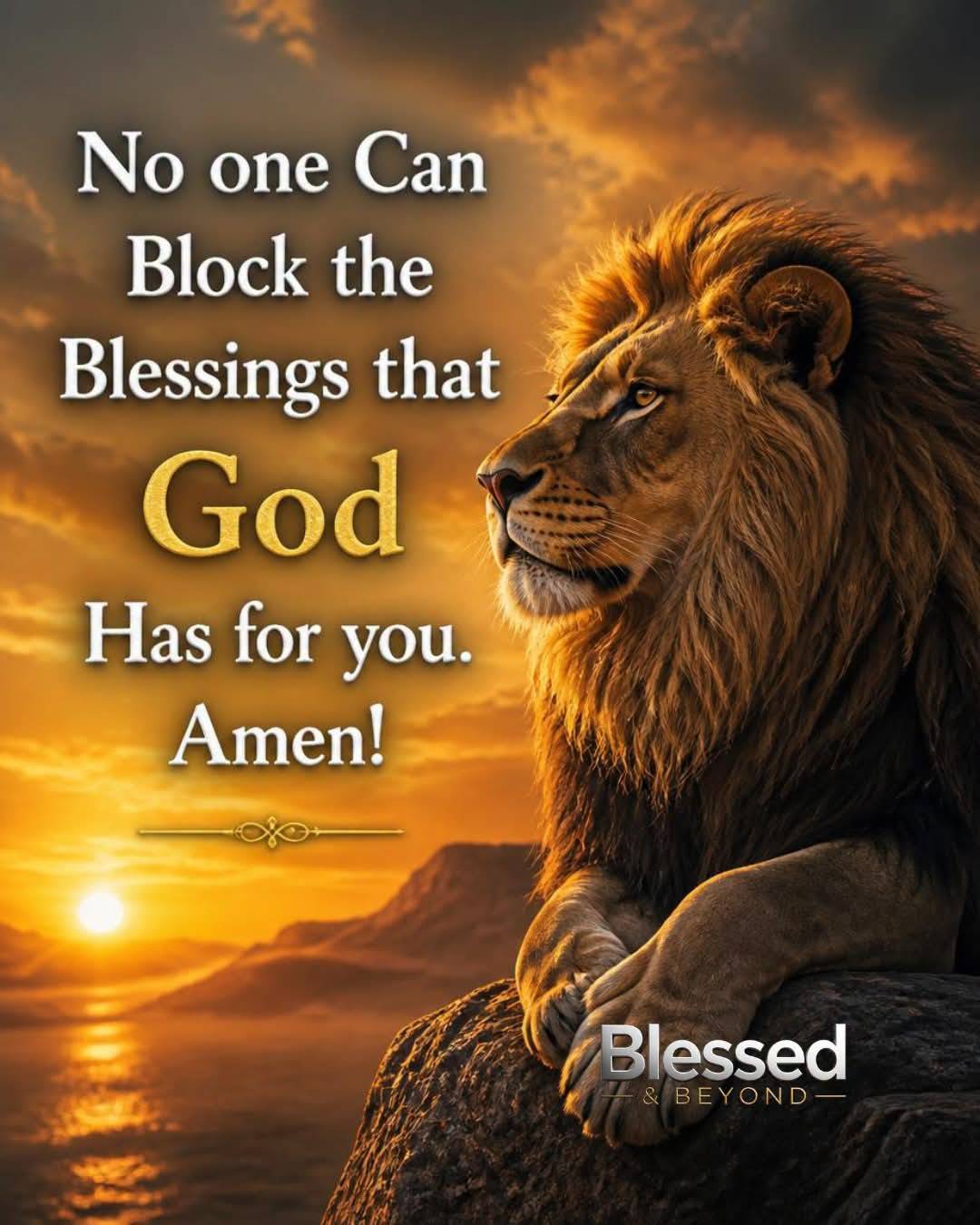 Shalom