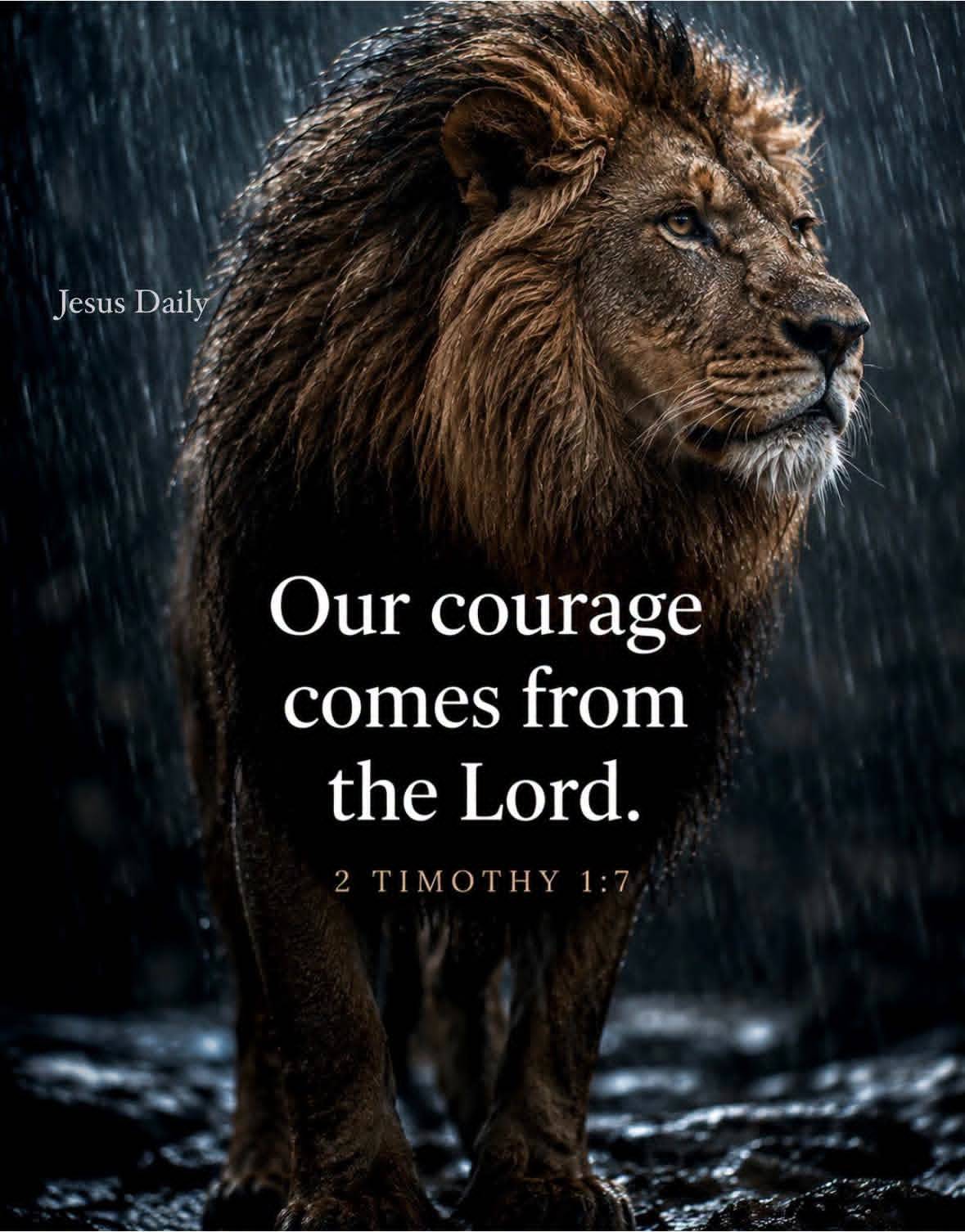 Post by Bruno Emmanuel