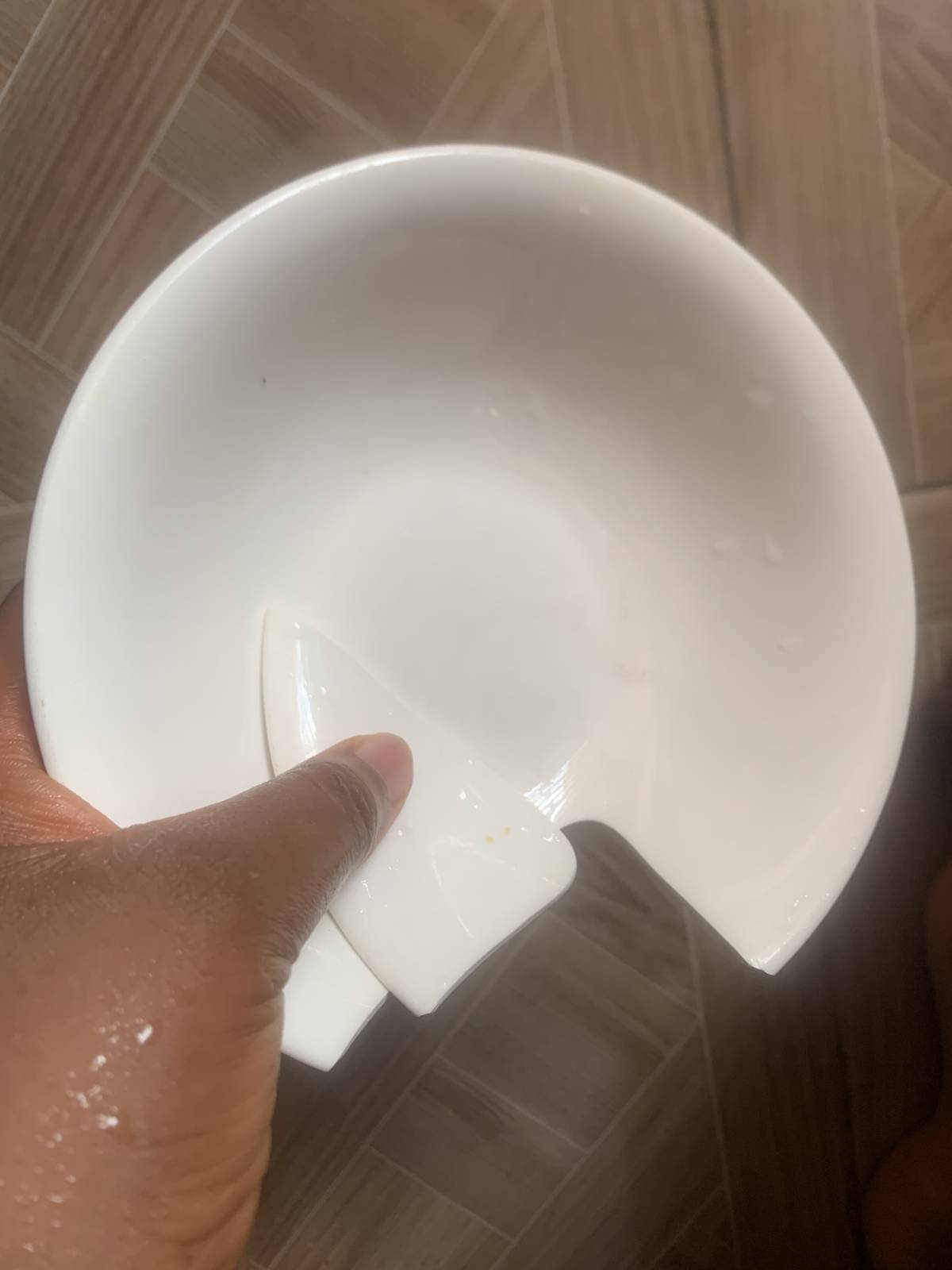 This afternoon, I broke one of my plates by mistake while washing my hands in the sink.
And, I just...