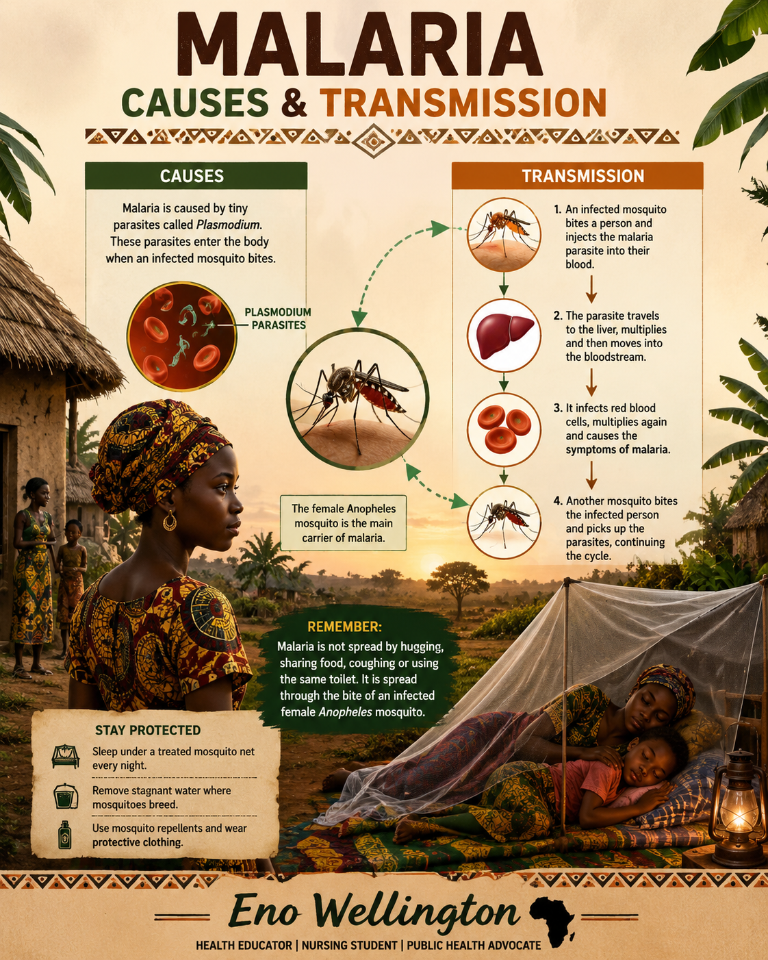 Causes & Transmission of Malaria
Many people believe malaria comes from staying in the sun for too...