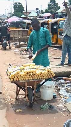@CSO_001 said No job is too small when the goal is survival and success π―
Yes of truth No job is t...