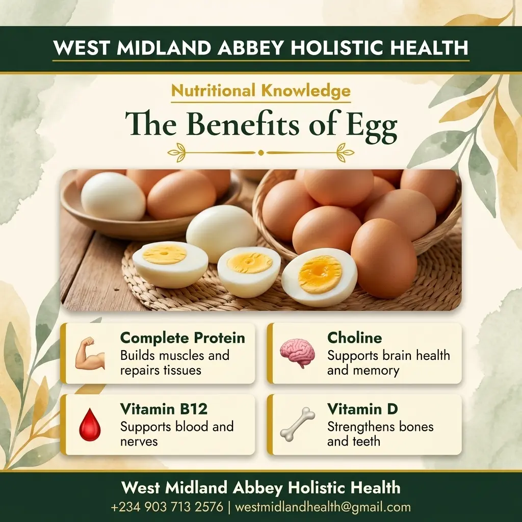 THE BENEFITS OF EGG
Hello family. In my first post, I shared that this week is about encouraging eac...