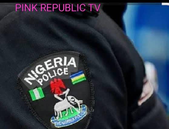 https://pinkrepublic12.blogspot.com/2026/04/police-economic-and-financial-crimes.html?m=1
