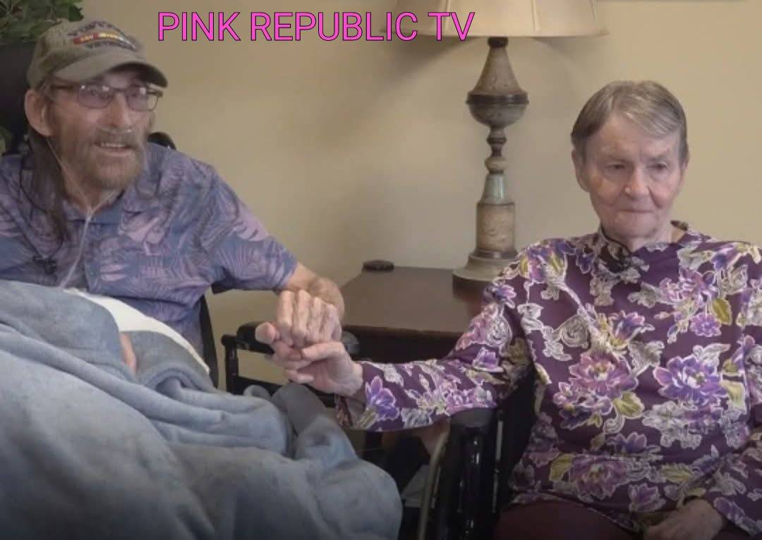 https://pinkrepublic12.blogspot.com/2026/04/two-siblings-who-had-not-seen-each.html?m=1