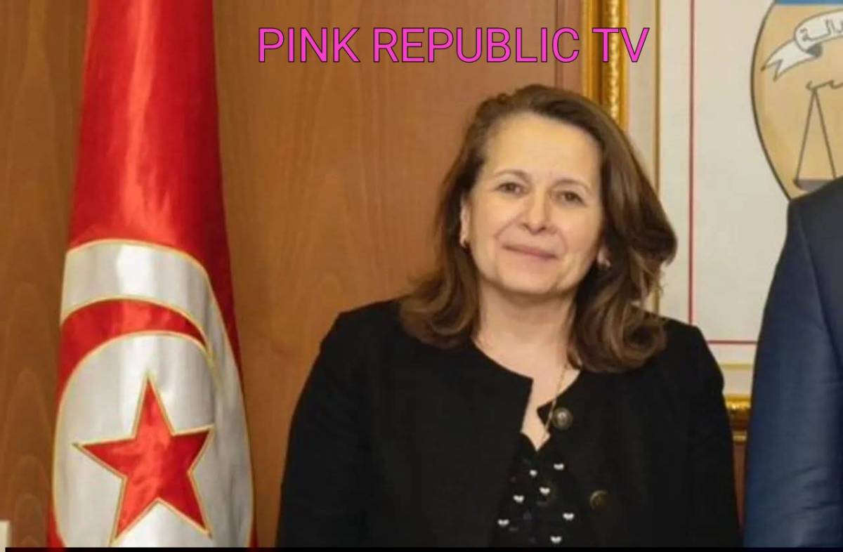 https://pinkrepublic12.blogspot.com/2026/04/tunisia-energy-minister-sacked-amid.html?m=1
