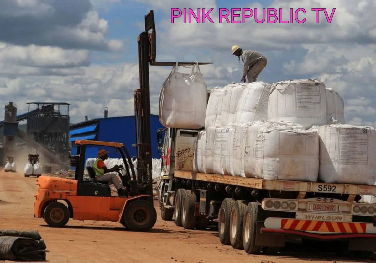 https://pinkrepublic12.blogspot.com/2026/04/zimbabwe-ships-africas-first-locally.html?m=1