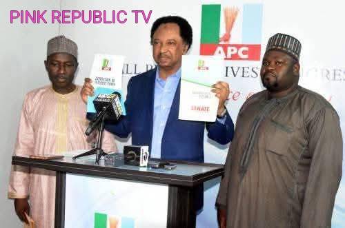 https://pinkrepublic12.blogspot.com/2026/04/2027-shehu-sani-obtains-apc-senatorial.html?m=1