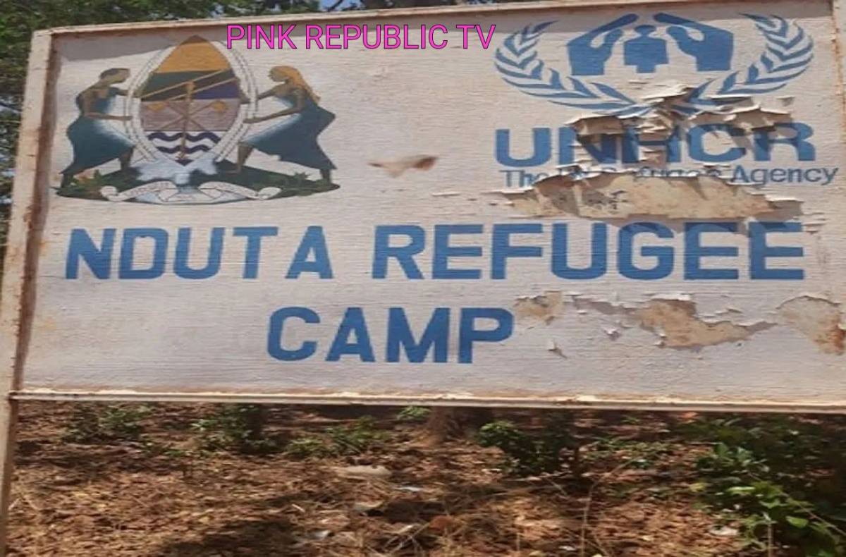 https://pinkrepublic12.blogspot.com/2026/05/tanzania-closes-nduta-camp-housing.html?m=1