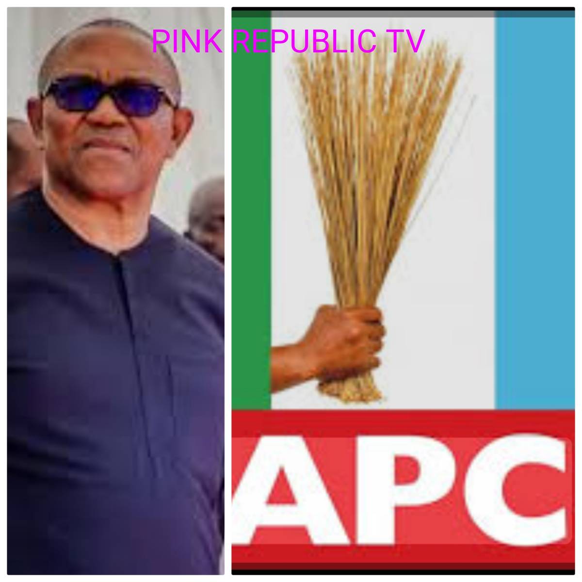 https://pinkrepublic12.blogspot.com/2026/05/apc-slams-peter-obi-as-political.html?m=1