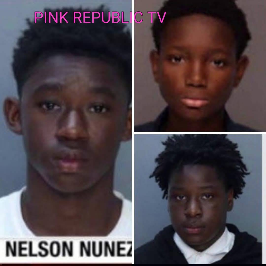 https://pinkrepublic12.blogspot.com/2026/05/too-young-for-license-old-enough-for.html?m=1