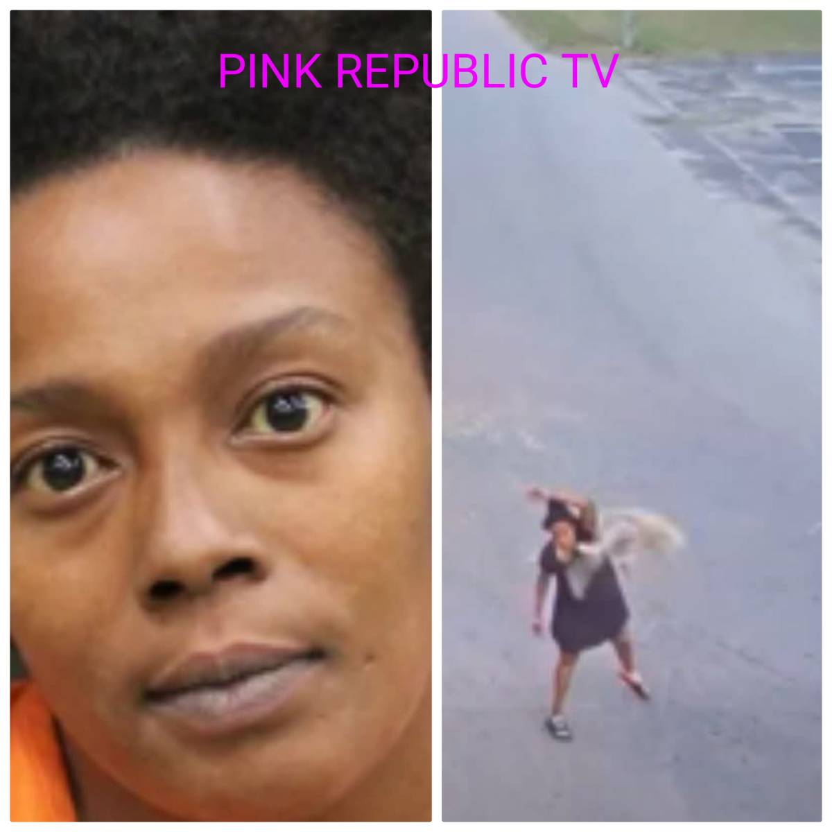 https://pinkrepublic12.blogspot.com/2026/05/a-florida-woman-is-behind-bars-after.html?m=1
