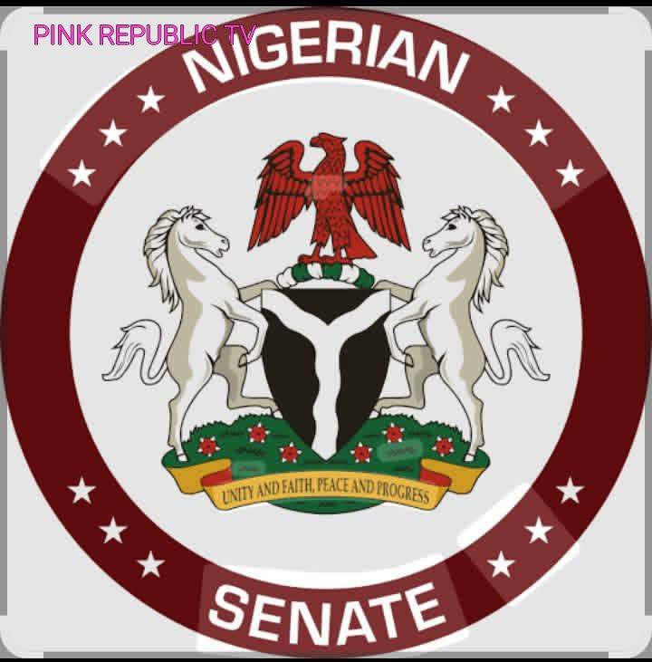 https://pinkrepublic12.blogspot.com/2026/05/senate-demands-justice-for-nigerians.html?m=1