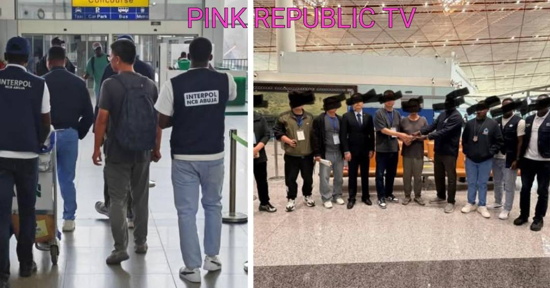 https://pinkrepublic12.blogspot.com/2026/05/npf-arrests-repatriates-245-million.html?m=1
