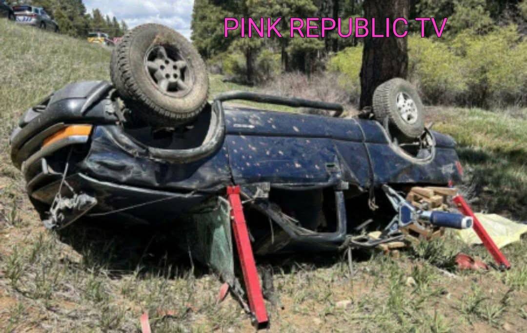 https://pinkrepublic12.blogspot.com/2026/05/a-5-year-old-girl-was-found-alive.html?m=1